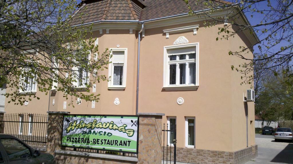 Pápa Harsfavirag Vendeghaz Bed & Breakfast エクステリア 写真